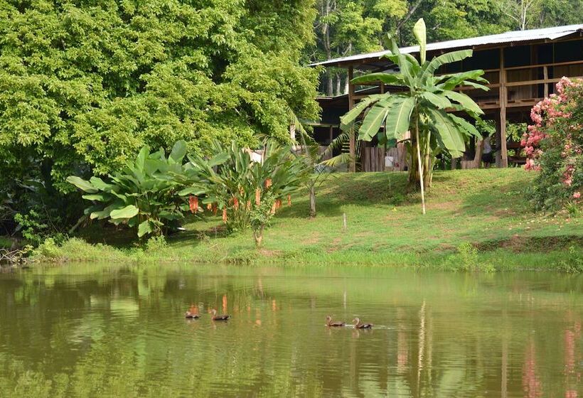 ペンション Albergue La Laguna Corcovado Park