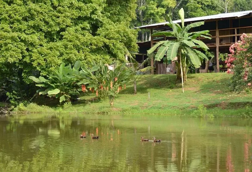 Majatalo Albergue La Laguna Corcovado Park