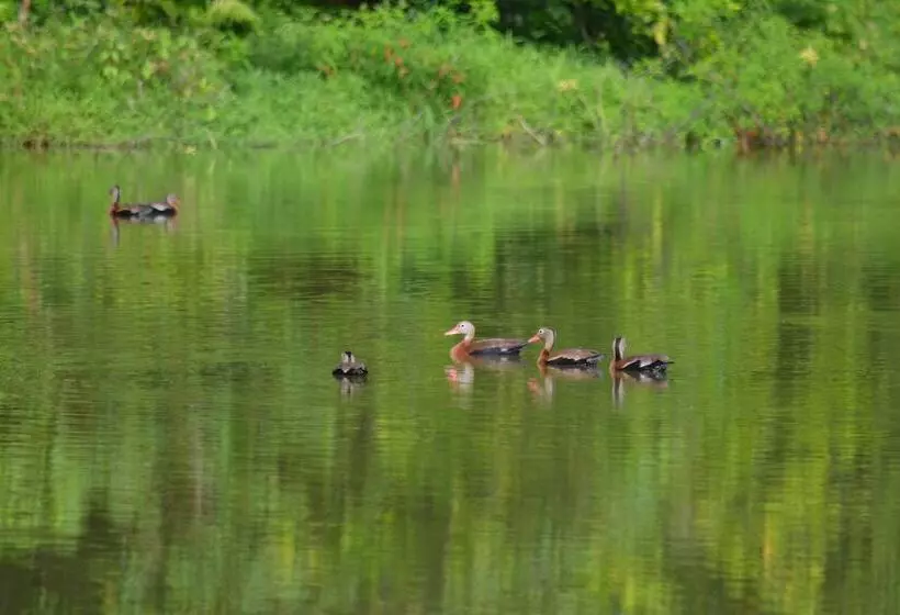 Majatalo Albergue La Laguna Corcovado Park