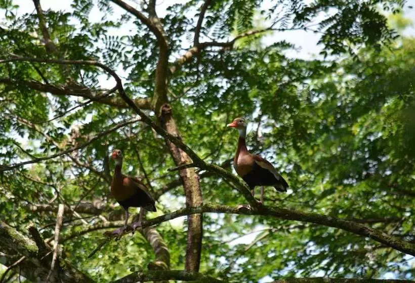 Majatalo Albergue La Laguna Corcovado Park