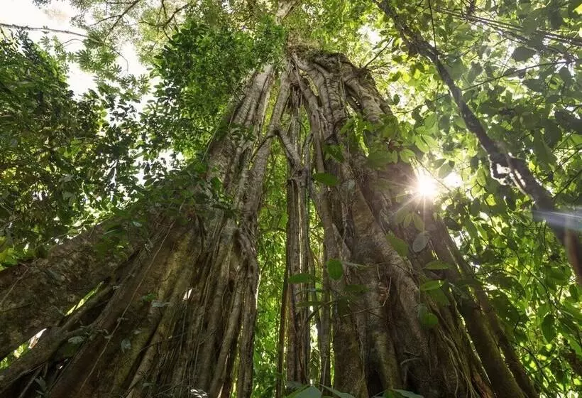 Majatalo Albergue La Laguna Corcovado Park