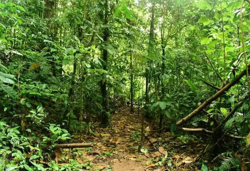 Majatalo Albergue La Laguna Corcovado Park