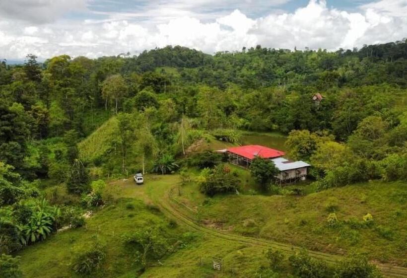 ペンション Albergue La Laguna Corcovado Park