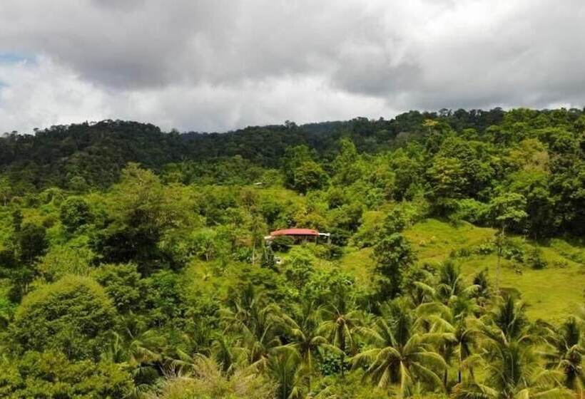 ペンション Albergue La Laguna Corcovado Park
