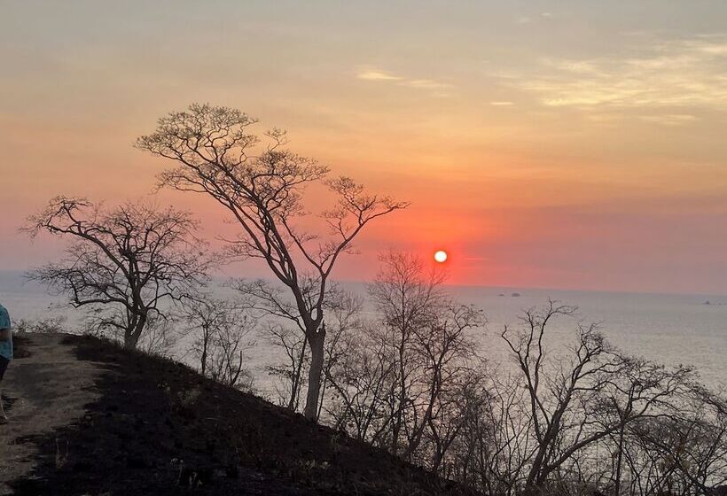 פנסיון Casa Papito