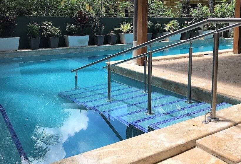 פנסיון Casa Papito