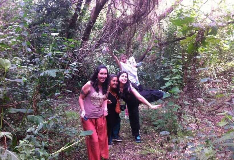 ペンション Eco Veggie Hostel Balaramapuri