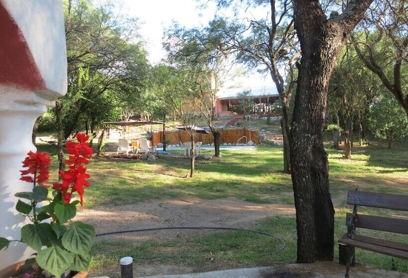 ペンション Eco Veggie Hostel Balaramapuri