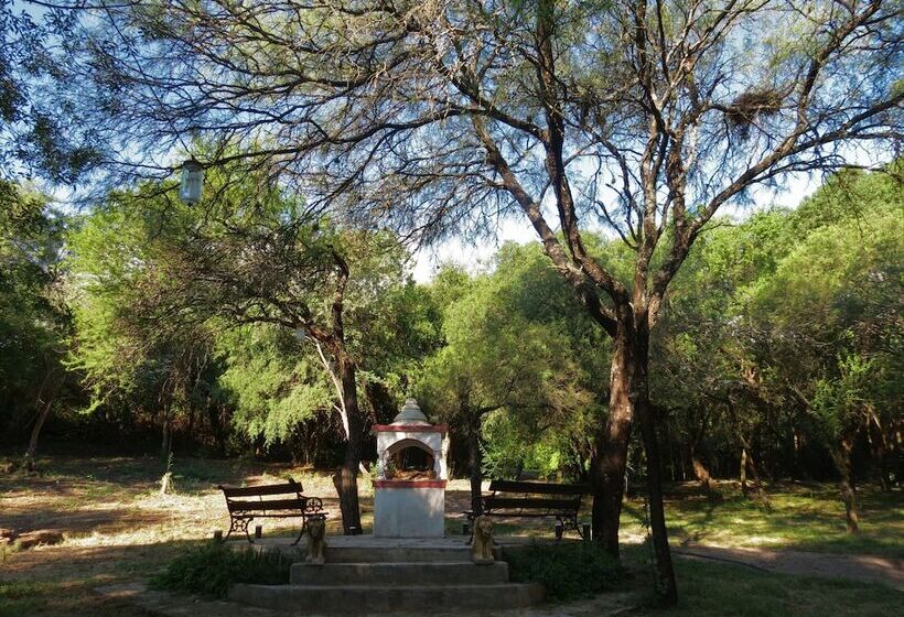 ペンション Eco Veggie Hostel Balaramapuri