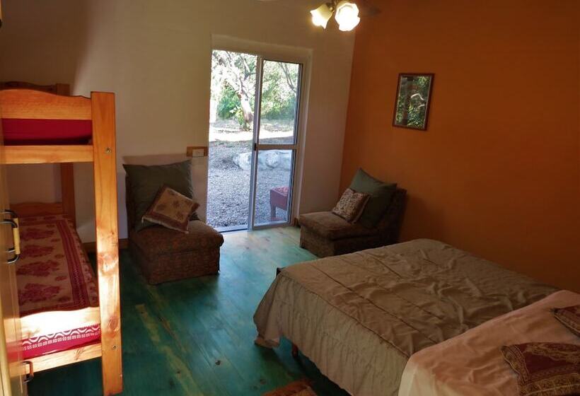 ペンション Eco Veggie Hostel Balaramapuri