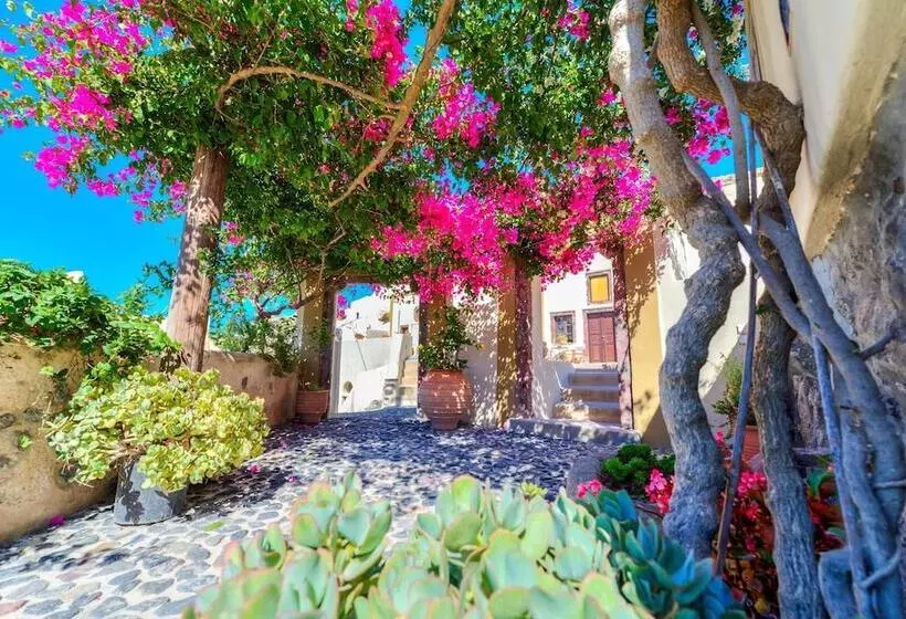 پانسیون Guest House Kalitsi