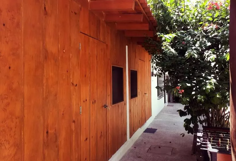 پانسیون Zihua Lao Centro