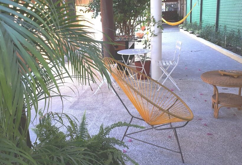 پانسیون Zihua Lao Centro