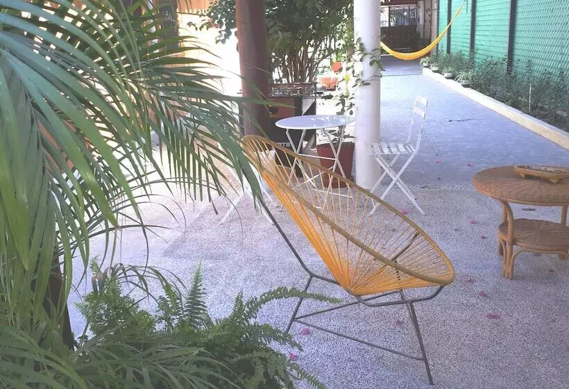 پانسیون Zihua Lao Centro