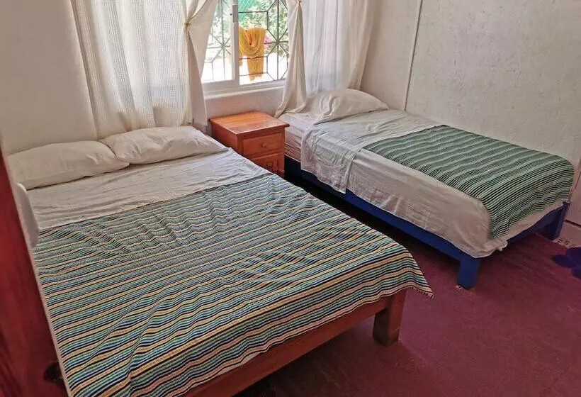 پانسیون Zihua Lao Centro