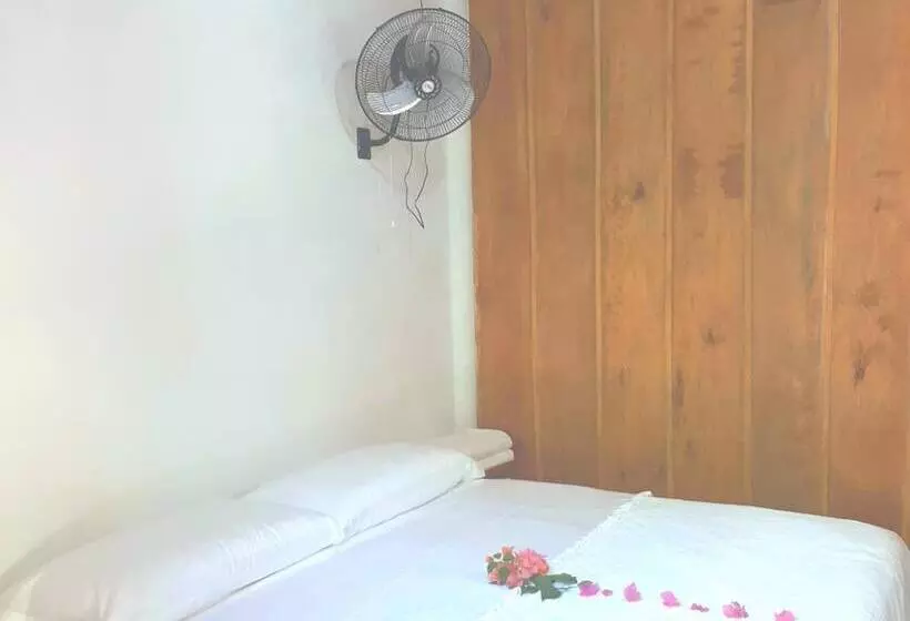 پانسیون Zihua Lao Centro