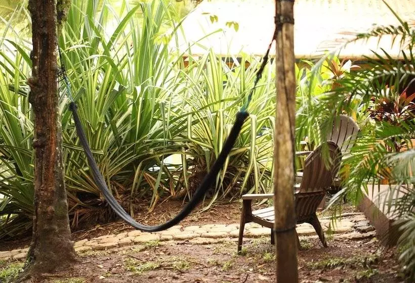 Tiki Lodge Bar & Restaurant   Hostel