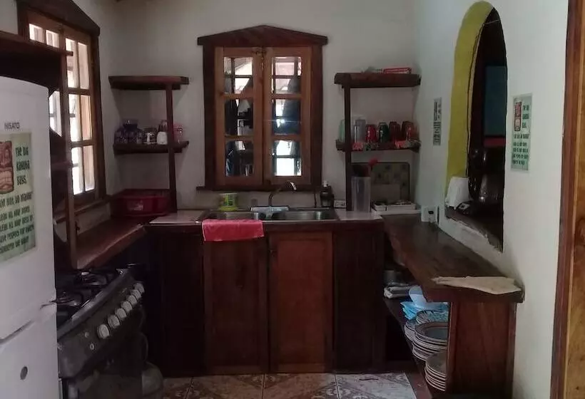 Tiki Lodge Bar & Restaurant   Hostel