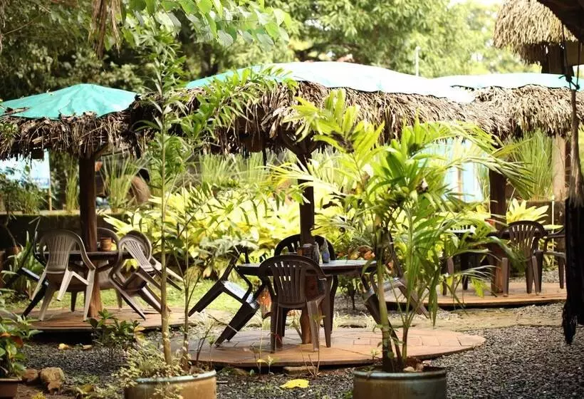 Tiki Lodge Bar & Restaurant   Hostel