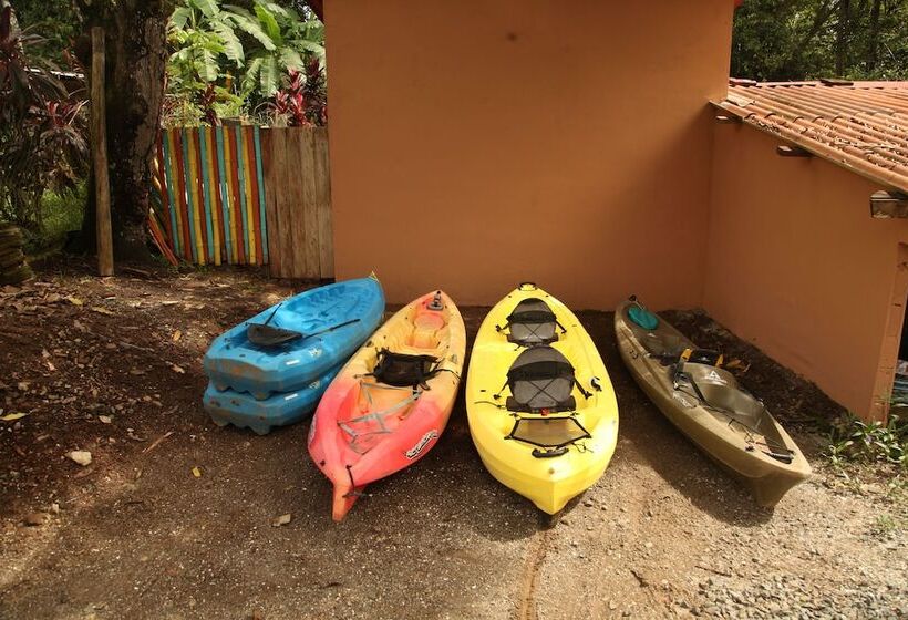 Tiki Lodge Bar & Restaurant   Hostel