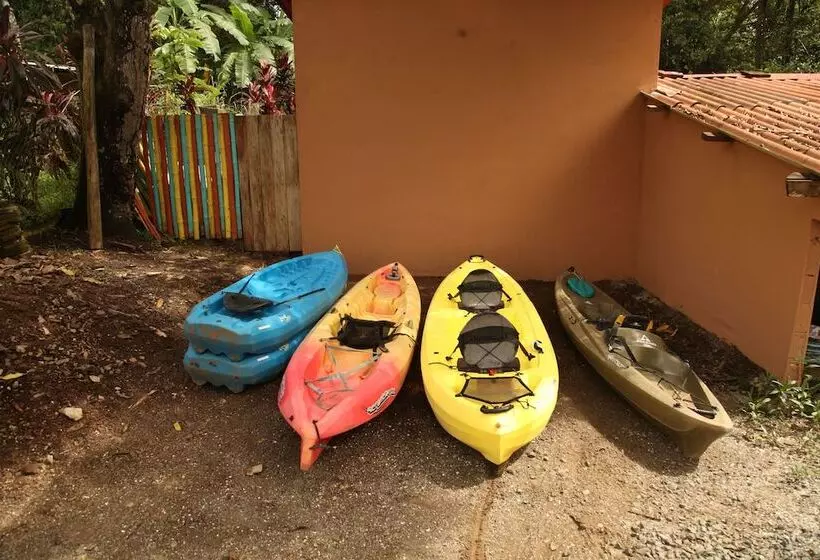 Tiki Lodge Bar & Restaurant   Hostel