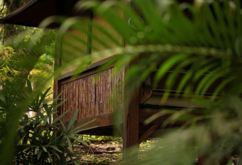 Tiki Lodge Bar & Restaurant   Hostel