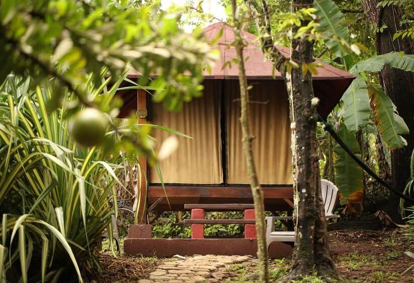 Tiki Lodge Bar & Restaurant   Hostel