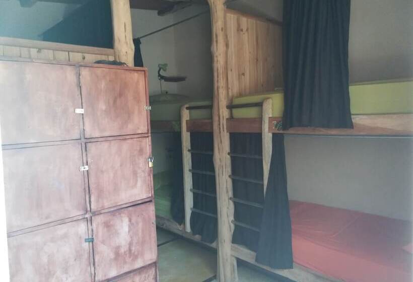 Tiki Lodge Bar & Restaurant   Hostel