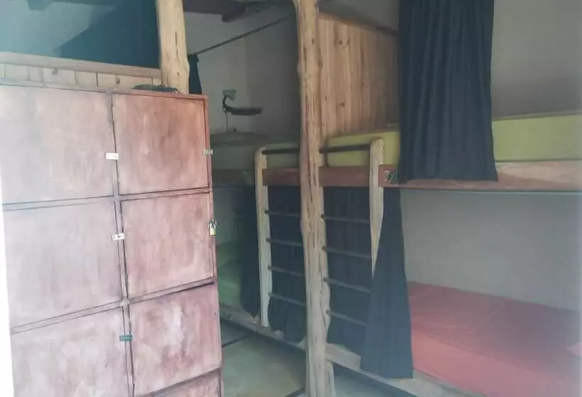 Tiki Lodge Bar & Restaurant   Hostel