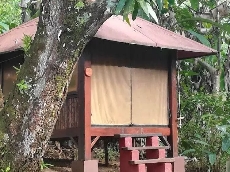 Tiki Lodge Bar & Restaurant   Hostel