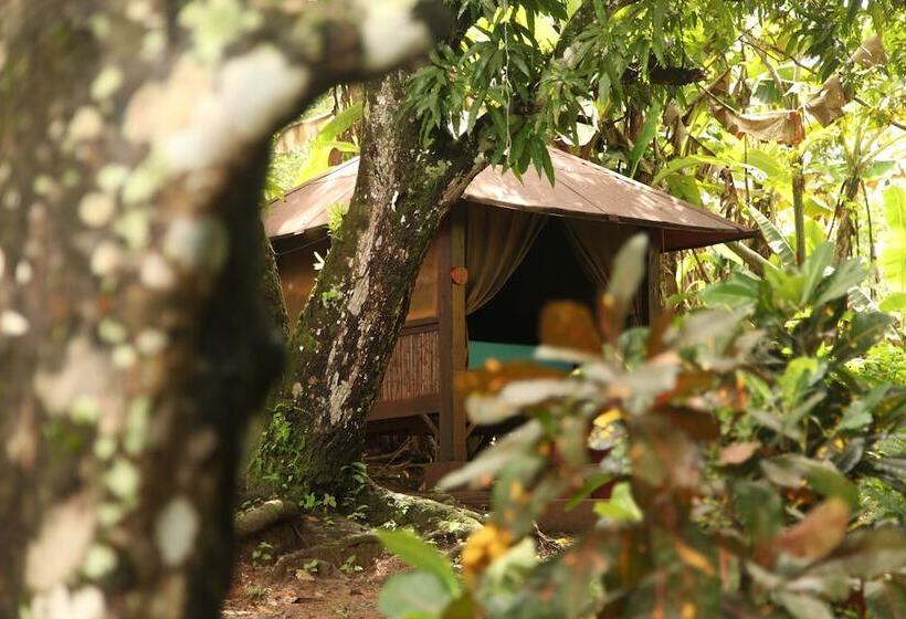 Tiki Lodge Bar & Restaurant   Hostel