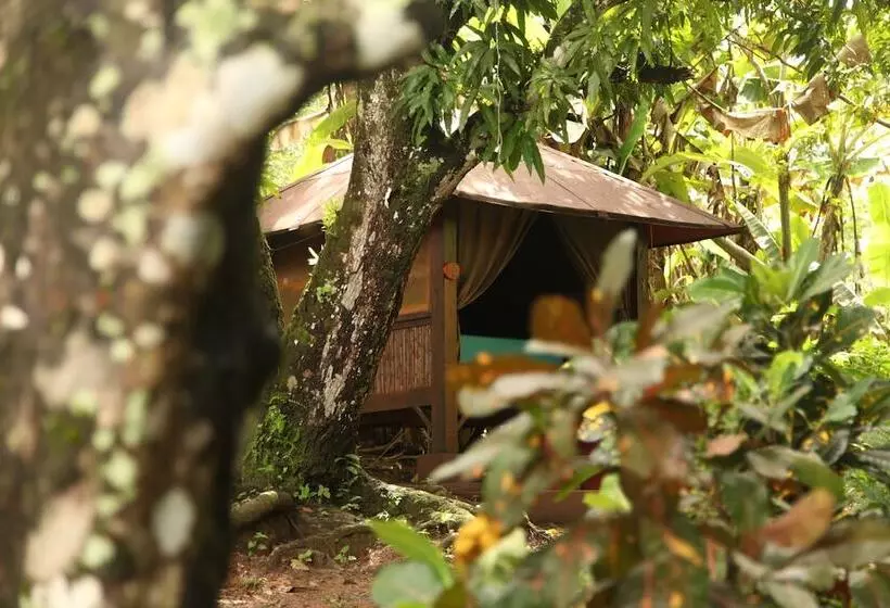 Tiki Lodge Bar & Restaurant   Hostel