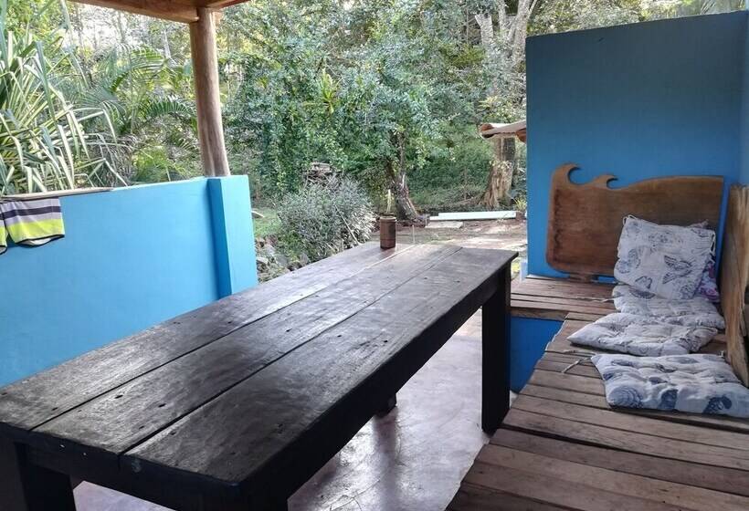 Tiki Lodge Bar & Restaurant   Hostel