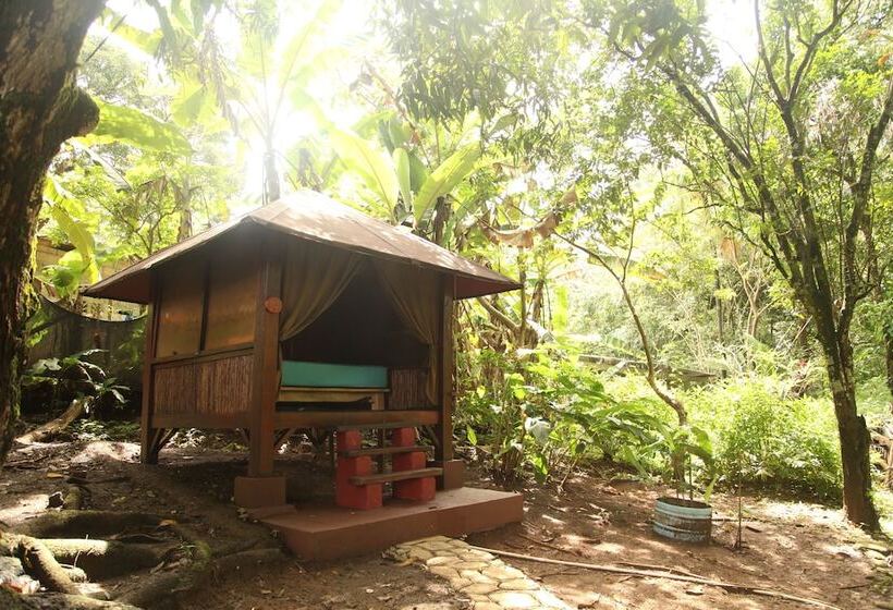 Tiki Lodge Bar & Restaurant   Hostel