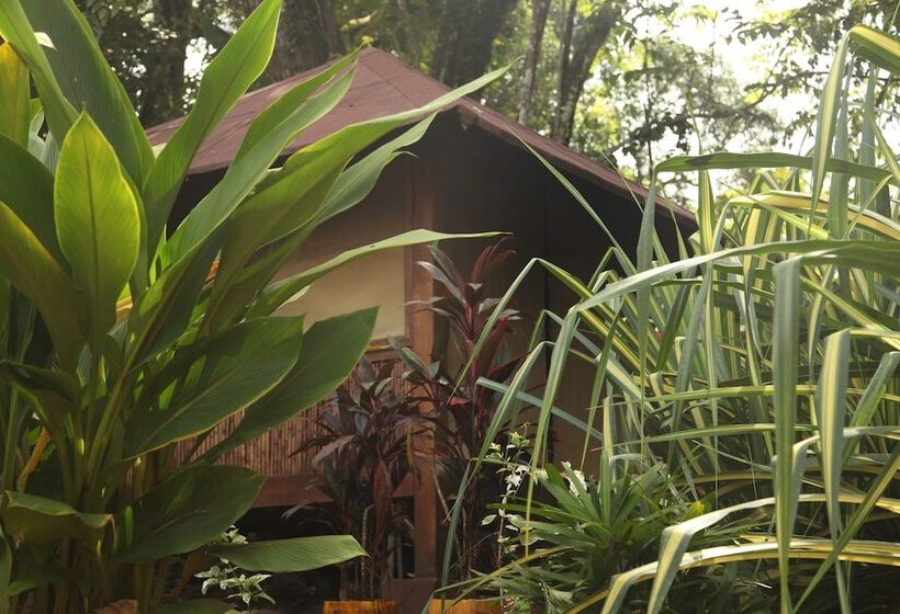 Tiki Lodge Bar & Restaurant   Hostel