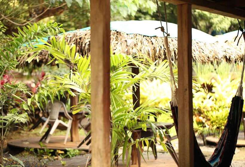 Tiki Lodge Bar & Restaurant   Hostel