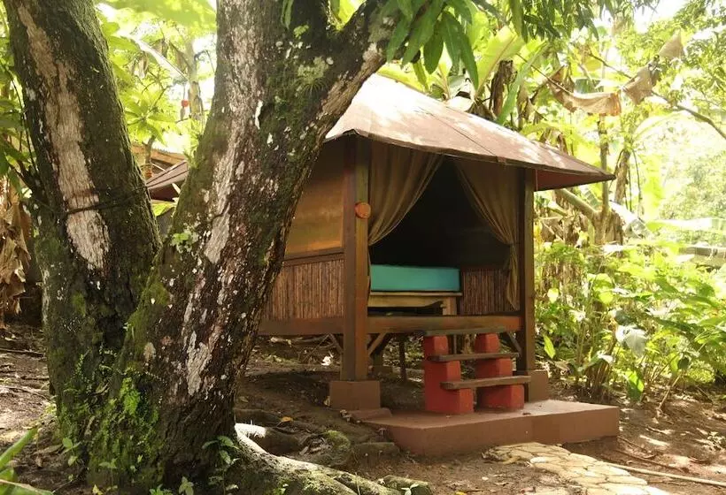 Tiki Lodge Bar & Restaurant   Hostel