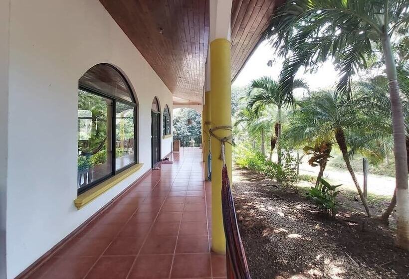 Casa Alice Surf Lodge Hostel