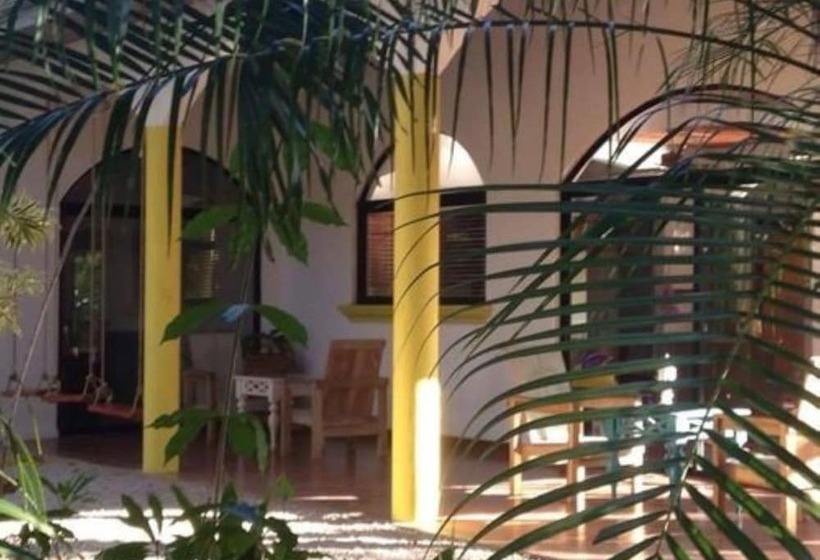 Casa Alice Surf Lodge Hostel