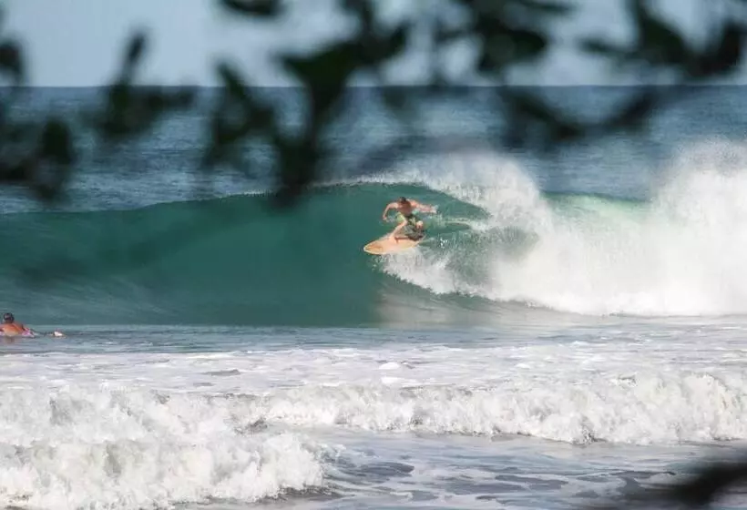 Casa Alice Surf Lodge   Hostel