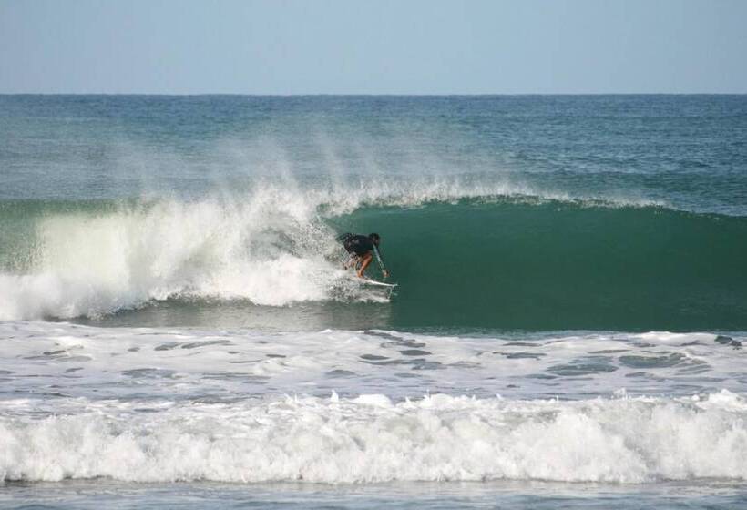 Casa Alice Surf Lodge Hostel