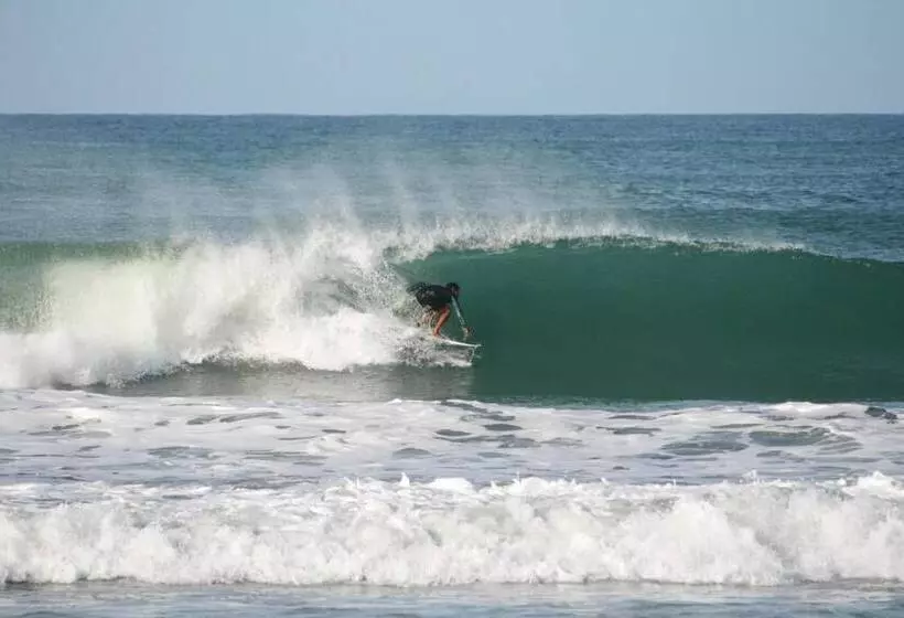 Casa Alice Surf Lodge   Hostel