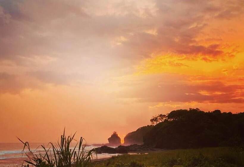 Casa Alice Surf Lodge Hostel