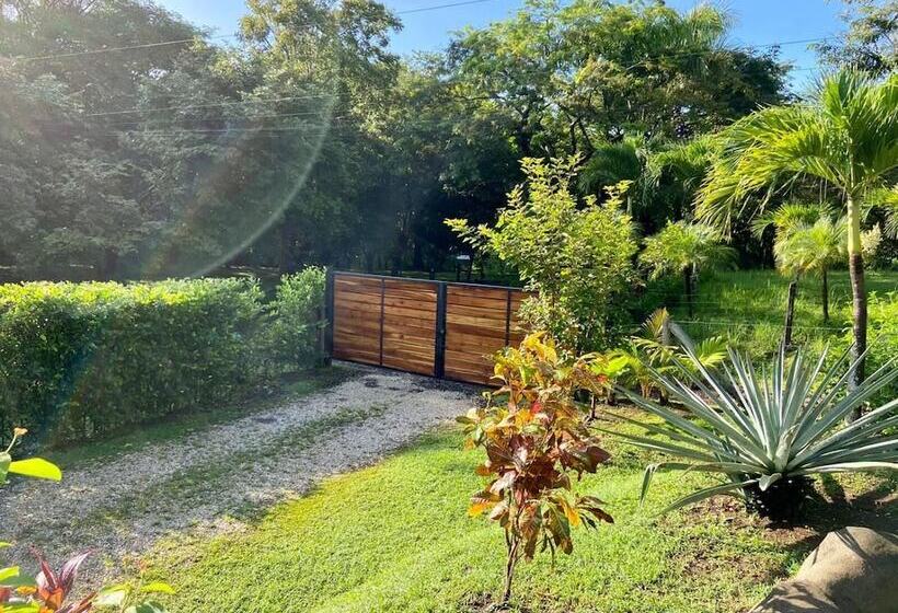 Casa Alice Surf Lodge Hostel