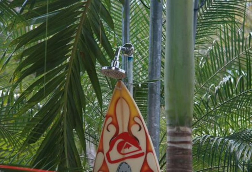 Casa Alice Surf Lodge Hostel