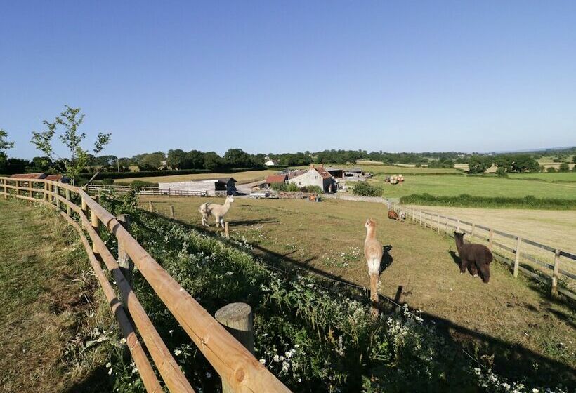 Heron Lodge Castle Farm