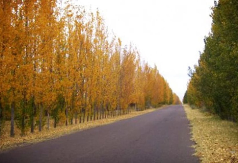 Hotel Cabañas Terranostra