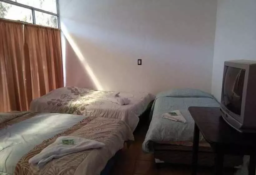هتل Casa Ponce