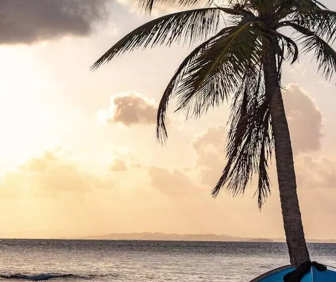 ホテル Explora San Blas