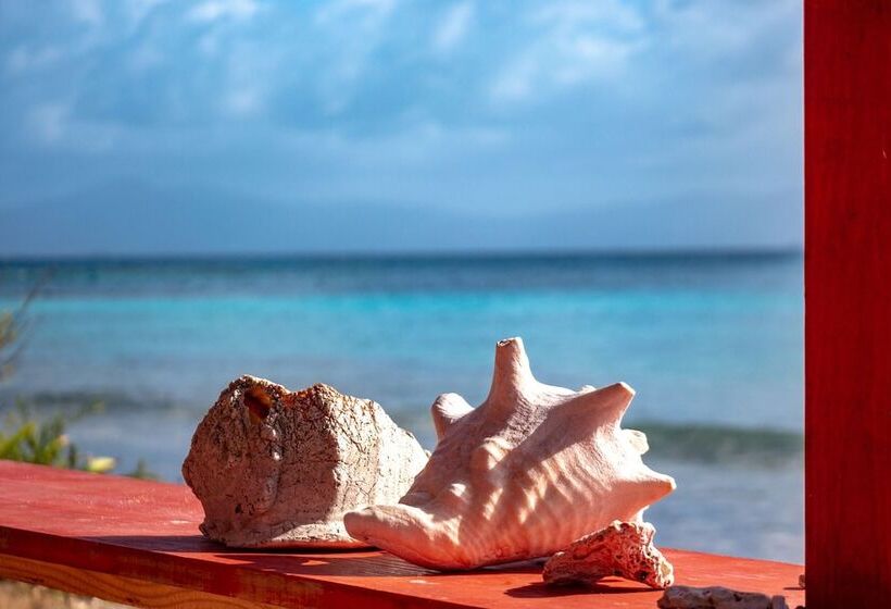 Отель Explora San Blas